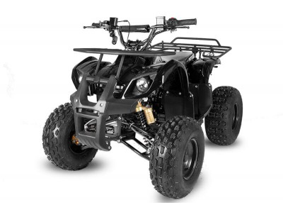 Quads 125cc Toronto RG8 S 125cc Petrol Quad Bike Semi Automatic